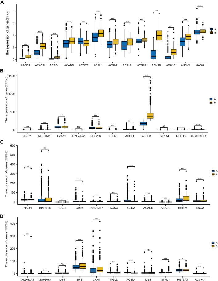 https://cdn.ncbi.nlm.nih.gov/pmc/blobs/31c6/10014556/619675230642/fgene-14-1002157-g006.jpg