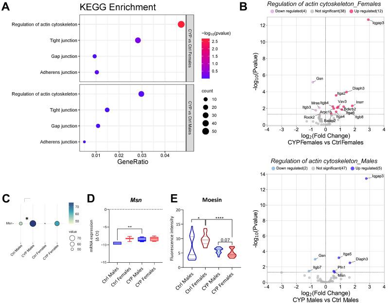 https://cdn.ncbi.nlm.nih.gov/pmc/blobs/31c8/10670955/367fca1d581b/ijms-24-16296-g003.jpg
