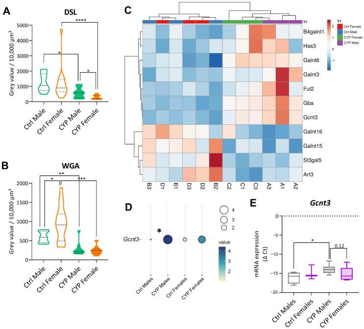https://cdn.ncbi.nlm.nih.gov/pmc/blobs/31c8/10670955/99a856e9dea2/ijms-24-16296-g004.jpg