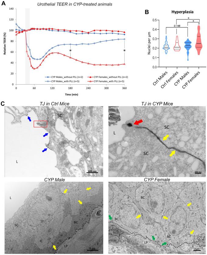 https://cdn.ncbi.nlm.nih.gov/pmc/blobs/31c8/10670955/d59359d709e6/ijms-24-16296-g002.jpg