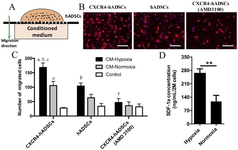 https://cdn.ncbi.nlm.nih.gov/pmc/blobs/31c9/5835941/30edd857b61e/thnov08p1350g002.jpg