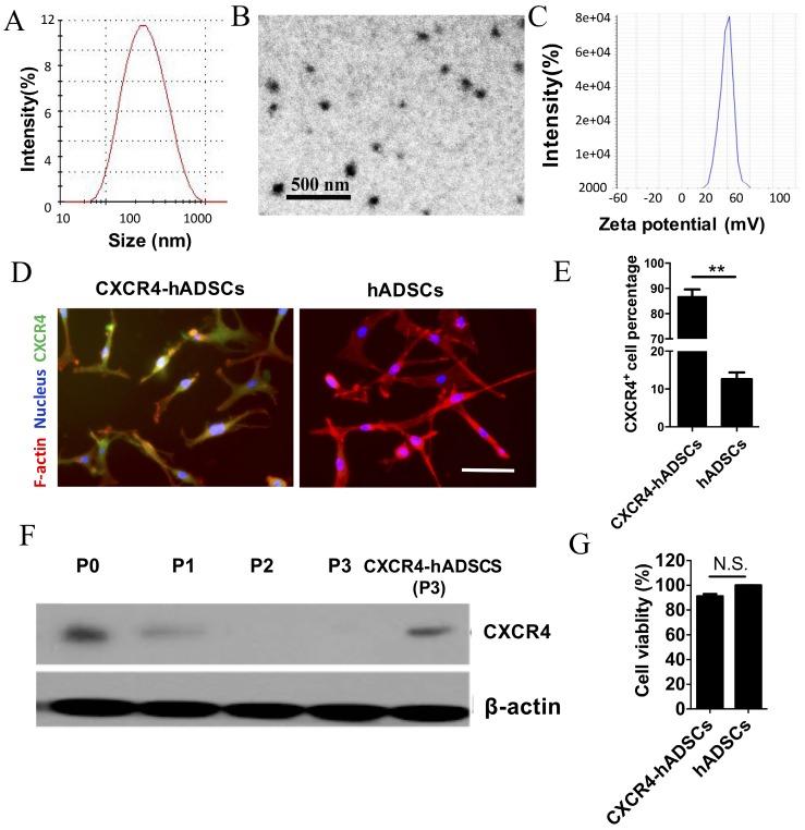 https://cdn.ncbi.nlm.nih.gov/pmc/blobs/31c9/5835941/7ef20117d049/thnov08p1350g001.jpg