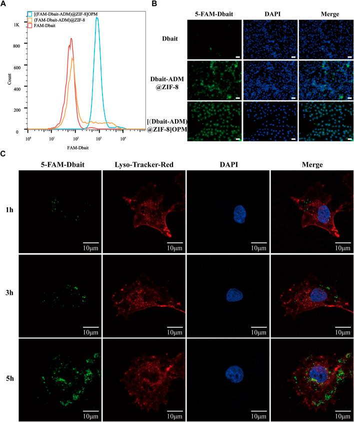 https://cdn.ncbi.nlm.nih.gov/pmc/blobs/31c9/9981937/0e18ad03a729/fbioe-11-1147064-g004.jpg