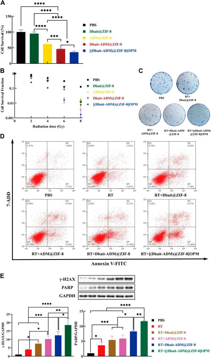 https://cdn.ncbi.nlm.nih.gov/pmc/blobs/31c9/9981937/47193f6d9a17/fbioe-11-1147064-g005.jpg