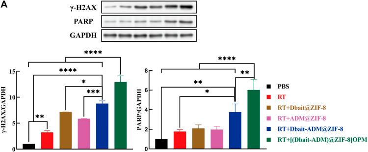 https://cdn.ncbi.nlm.nih.gov/pmc/blobs/31c9/9981937/5ab350579c33/fbioe-11-1147064-g008.jpg