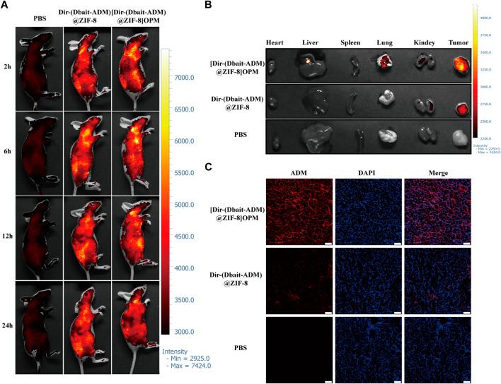 https://cdn.ncbi.nlm.nih.gov/pmc/blobs/31c9/9981937/780dedc3c654/fbioe-11-1147064-g006.jpg