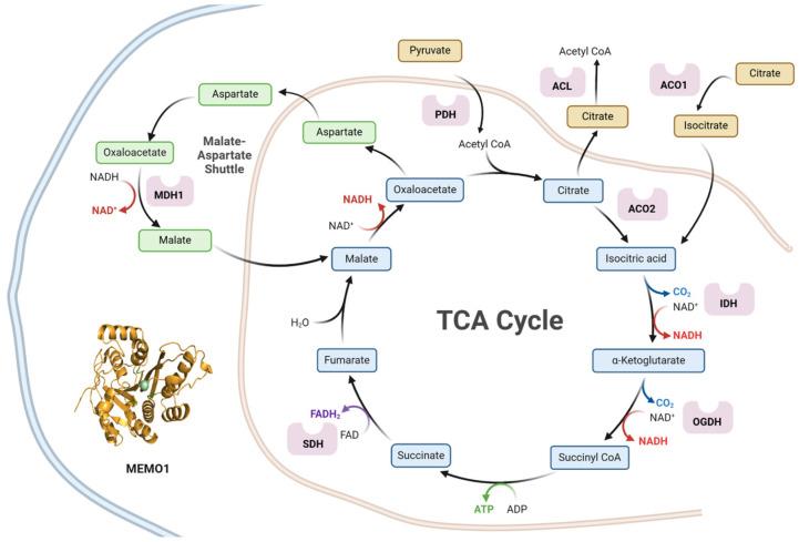https://cdn.ncbi.nlm.nih.gov/pmc/blobs/31cb/12029338/839107e1923b/metabolites-15-00277-g001.jpg