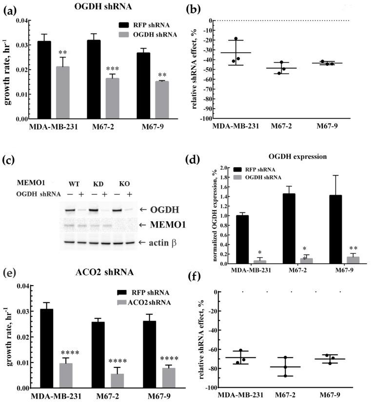 https://cdn.ncbi.nlm.nih.gov/pmc/blobs/31cb/12029338/ce1f02e70c1d/metabolites-15-00277-g002.jpg