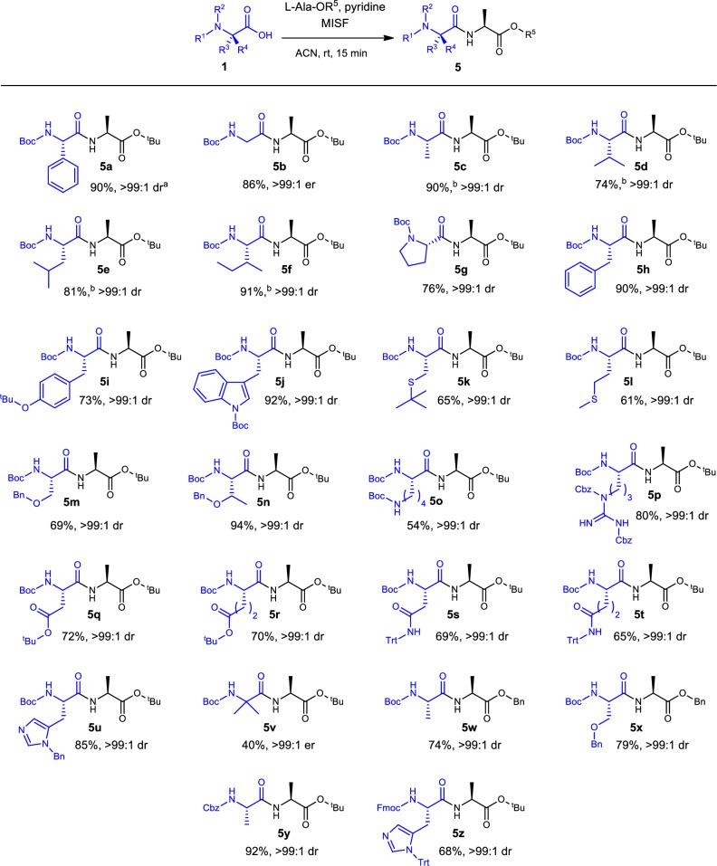 https://cdn.ncbi.nlm.nih.gov/pmc/blobs/31cf/11846836/7199725c1893/42004_2025_1456_Fig2_HTML.jpg
