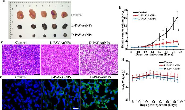 https://cdn.ncbi.nlm.nih.gov/pmc/blobs/31cf/6040058/9510c9a7805f/12951_2018_383_Fig5_HTML.jpg