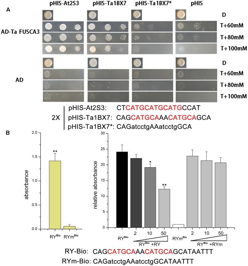 https://cdn.ncbi.nlm.nih.gov/pmc/blobs/31d0/5487486/cb35a284c0e9/fpls-08-01133-g006.jpg