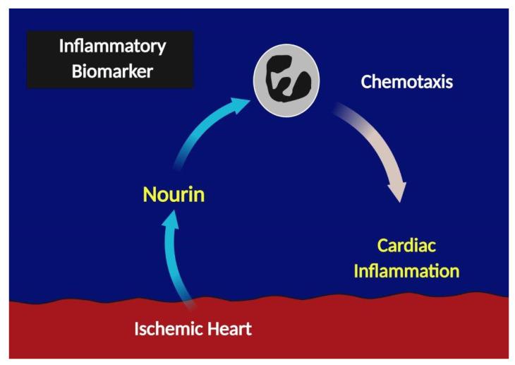 https://cdn.ncbi.nlm.nih.gov/pmc/blobs/31d0/7997347/1290a9336fc5/biomolecules-11-00368-g001.jpg