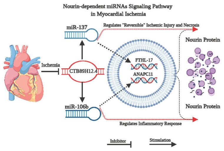 https://cdn.ncbi.nlm.nih.gov/pmc/blobs/31d0/7997347/4b48db6bbe5f/biomolecules-11-00368-g002.jpg