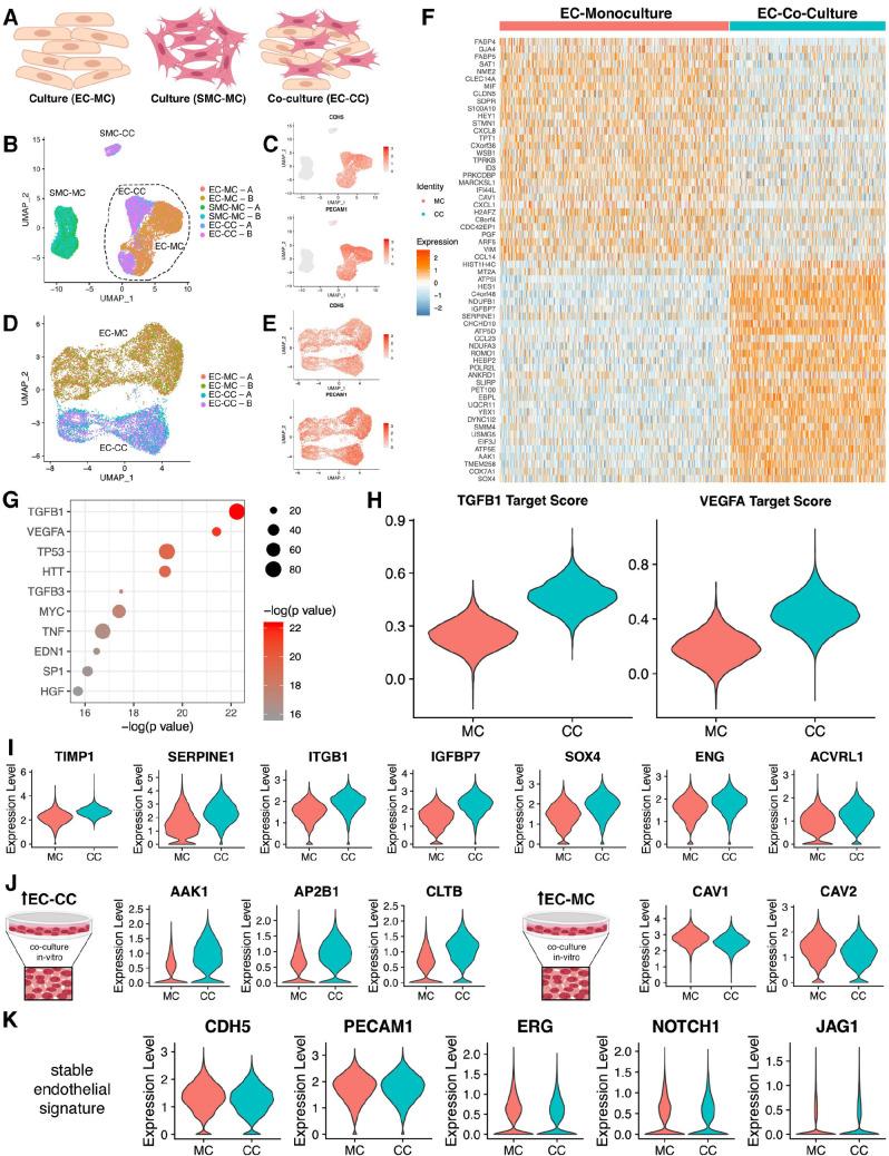 https://cdn.ncbi.nlm.nih.gov/pmc/blobs/31d1/10168696/4c790fd03e90/elife-81370-fig5.jpg
