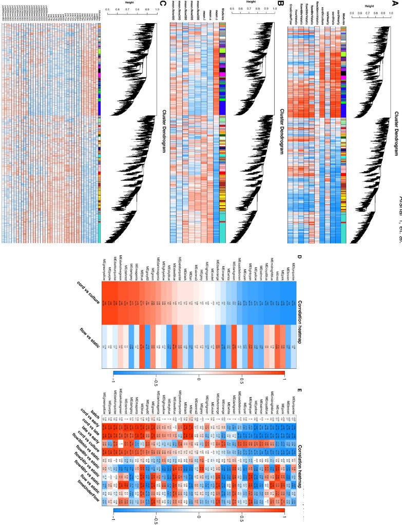 https://cdn.ncbi.nlm.nih.gov/pmc/blobs/31d1/10168696/dfc0ca8870d5/elife-81370-fig3-figsupp1.jpg