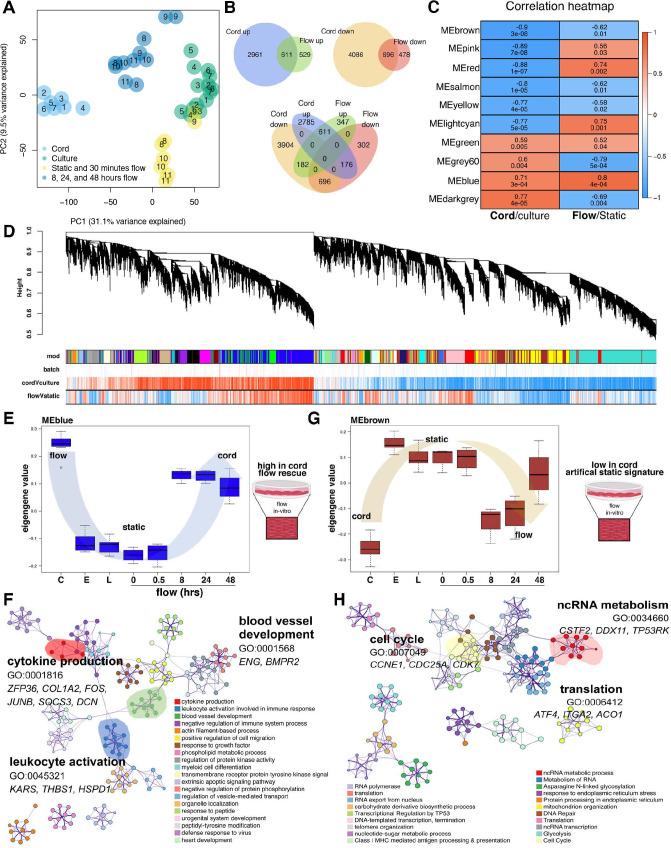 https://cdn.ncbi.nlm.nih.gov/pmc/blobs/31d1/10168696/eaafbbb2aa94/elife-81370-fig3.jpg
