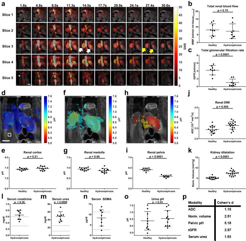 https://cdn.ncbi.nlm.nih.gov/pmc/blobs/31d1/10442412/013d28afdfd3/41467_2023_40747_Fig7_HTML.jpg