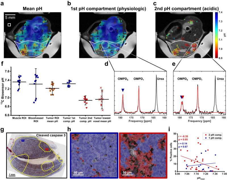 https://cdn.ncbi.nlm.nih.gov/pmc/blobs/31d1/10442412/74e4d8ecfbfa/41467_2023_40747_Fig4_HTML.jpg
