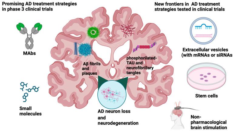 https://cdn.ncbi.nlm.nih.gov/pmc/blobs/31d2/10531090/b8534b55e3d5/ijms-24-13900-g001.jpg
