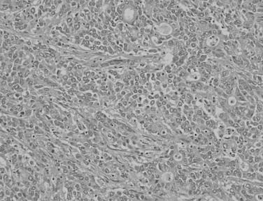 https://cdn.ncbi.nlm.nih.gov/pmc/blobs/31d2/4275786/e7d7121dfa1c/gr4.jpg