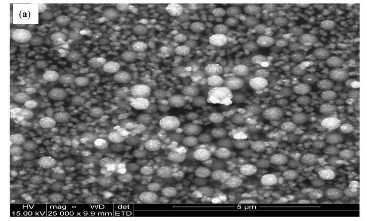 https://cdn.ncbi.nlm.nih.gov/pmc/blobs/31d2/8156766/4db74e7a7027/nanomaterials-11-01294-g004a.jpg