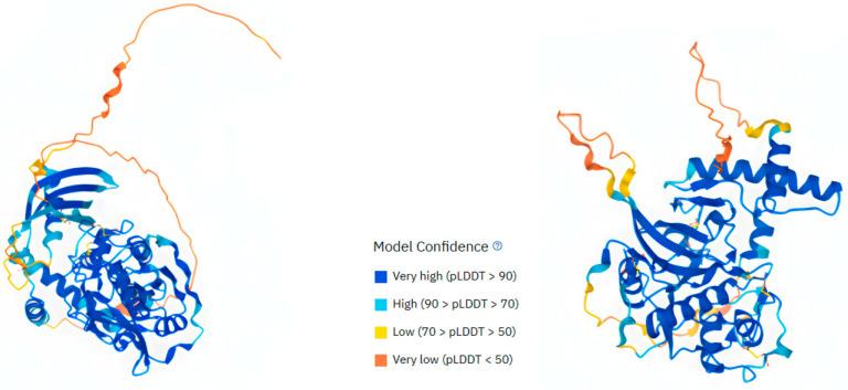 https://cdn.ncbi.nlm.nih.gov/pmc/blobs/31d4/11171618/028651abf220/cells-13-00917-g001.jpg