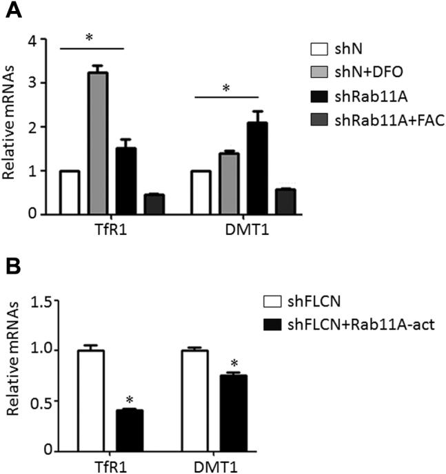 https://cdn.ncbi.nlm.nih.gov/pmc/blobs/31d6/7995610/2fb15714929c/gr4.jpg