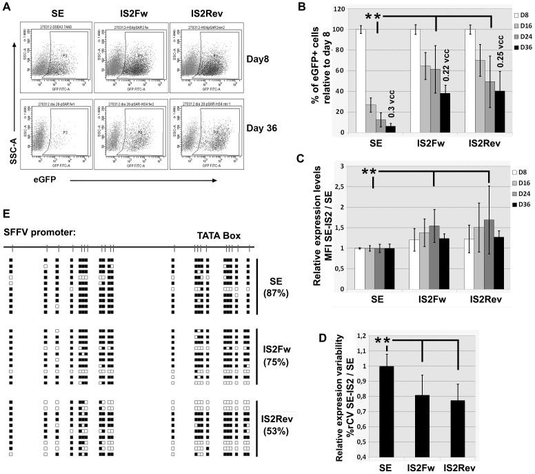 https://cdn.ncbi.nlm.nih.gov/pmc/blobs/31d7/3882226/1c92a312b91b/pone.0084268.g006.jpg