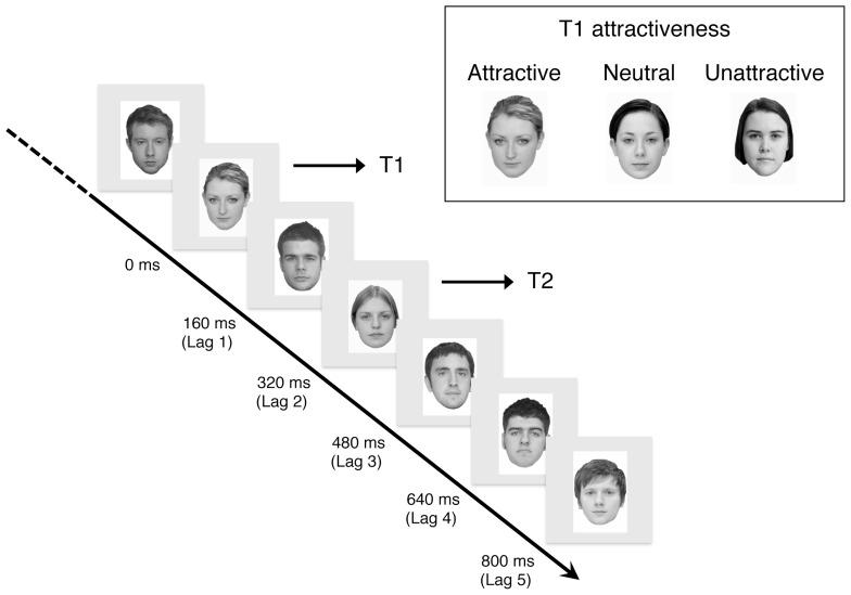 https://cdn.ncbi.nlm.nih.gov/pmc/blobs/31db/4061897/c62f67c88555/fpsyg-05-00620-g001.jpg