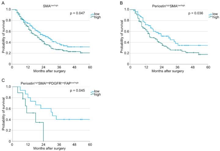 https://cdn.ncbi.nlm.nih.gov/pmc/blobs/31df/10093167/a236ee20987e/cancers-15-02049-g004.jpg