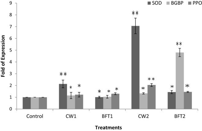 https://cdn.ncbi.nlm.nih.gov/pmc/blobs/31e1/8249640/a1ffc31a107f/41598_2021_93065_Fig5_HTML.jpg