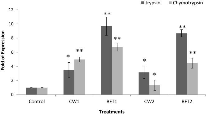 https://cdn.ncbi.nlm.nih.gov/pmc/blobs/31e1/8249640/af5d414c3648/41598_2021_93065_Fig6_HTML.jpg