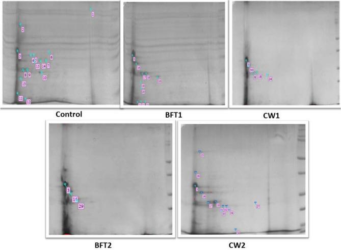 https://cdn.ncbi.nlm.nih.gov/pmc/blobs/31e1/8249640/b226a47c4b68/41598_2021_93065_Fig8_HTML.jpg