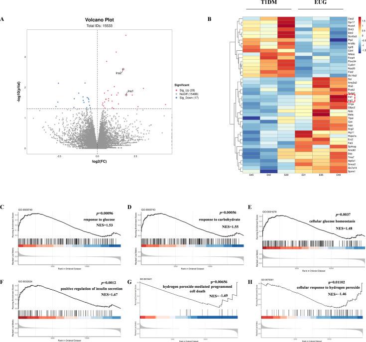 https://cdn.ncbi.nlm.nih.gov/pmc/blobs/31e4/11723580/118cf18e73d1/elife-96600-fig3-figsupp1.jpg