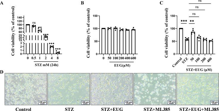 https://cdn.ncbi.nlm.nih.gov/pmc/blobs/31e4/11723580/25658edd5203/elife-96600-fig6-figsupp1.jpg