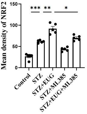 https://cdn.ncbi.nlm.nih.gov/pmc/blobs/31e4/11723580/2a870a1fbf79/elife-96600-sa3-fig7.jpg