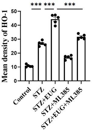 https://cdn.ncbi.nlm.nih.gov/pmc/blobs/31e4/11723580/31d5dc41c891/elife-96600-sa3-fig13.jpg