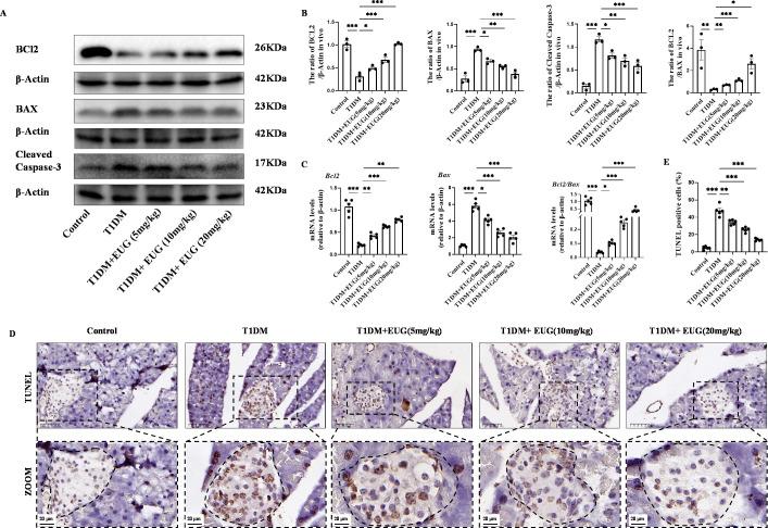 https://cdn.ncbi.nlm.nih.gov/pmc/blobs/31e4/11723580/3eabf993802b/elife-96600-fig5.jpg