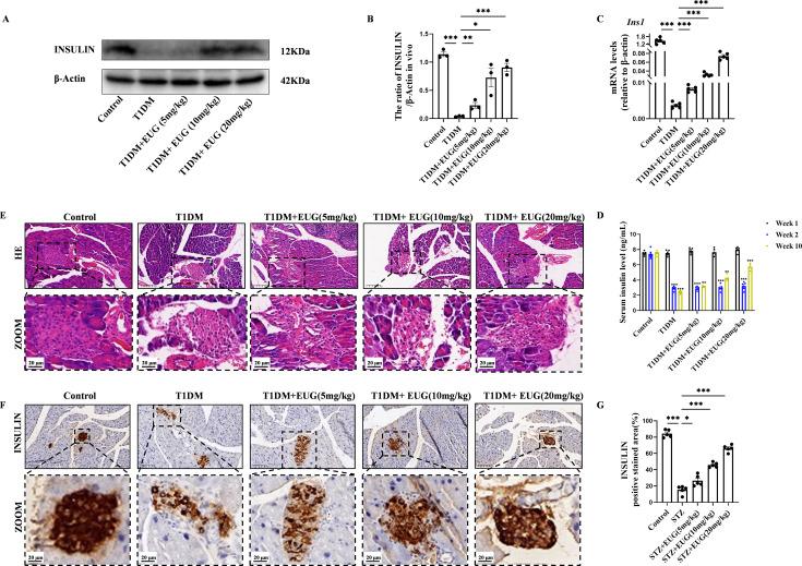 https://cdn.ncbi.nlm.nih.gov/pmc/blobs/31e4/11723580/5e18a3cc75e5/elife-96600-fig2.jpg