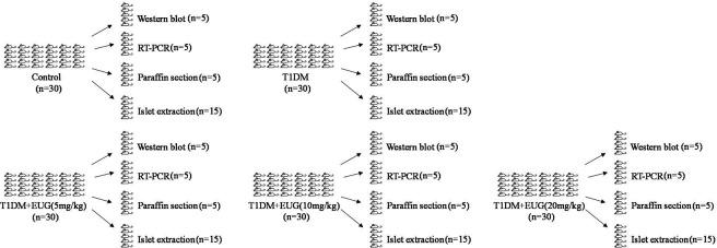 https://cdn.ncbi.nlm.nih.gov/pmc/blobs/31e4/11723580/6bb1b100dc0d/elife-96600-sa3-fig1.jpg