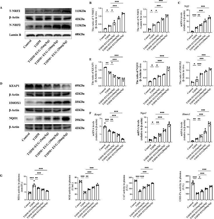 https://cdn.ncbi.nlm.nih.gov/pmc/blobs/31e4/11723580/773e6cd6ad35/elife-96600-fig3.jpg
