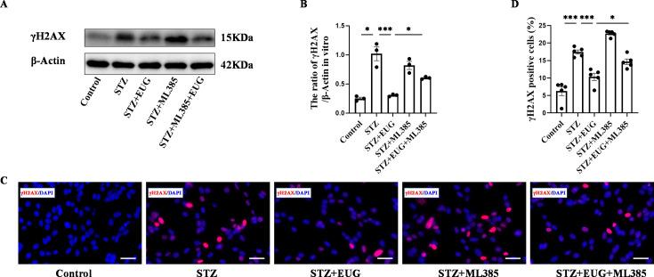 https://cdn.ncbi.nlm.nih.gov/pmc/blobs/31e4/11723580/81fdbf84fcb3/elife-96600-fig8.jpg