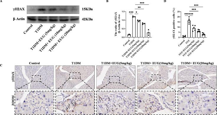 https://cdn.ncbi.nlm.nih.gov/pmc/blobs/31e4/11723580/a073f439c85e/elife-96600-fig4.jpg
