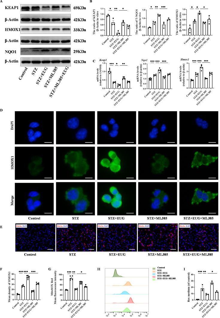 https://cdn.ncbi.nlm.nih.gov/pmc/blobs/31e4/11723580/d2ff9f18edf1/elife-96600-fig7.jpg