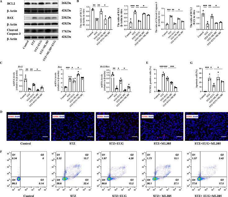 https://cdn.ncbi.nlm.nih.gov/pmc/blobs/31e4/11723580/dbda85ae72a6/elife-96600-fig9.jpg