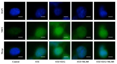 https://cdn.ncbi.nlm.nih.gov/pmc/blobs/31e4/11723580/fdea5ce18677/elife-96600-sa3-fig3.jpg
