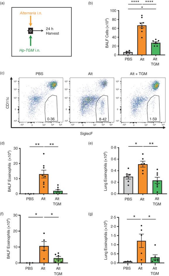 https://cdn.ncbi.nlm.nih.gov/pmc/blobs/31e5/9885513/c7eb00ebe7d1/IMM-167-197-g006.jpg
