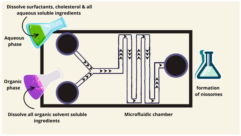 https://cdn.ncbi.nlm.nih.gov/pmc/blobs/31e6/11768252/8c006a6cbf03/pharmaceutics-17-00067-g005.jpg