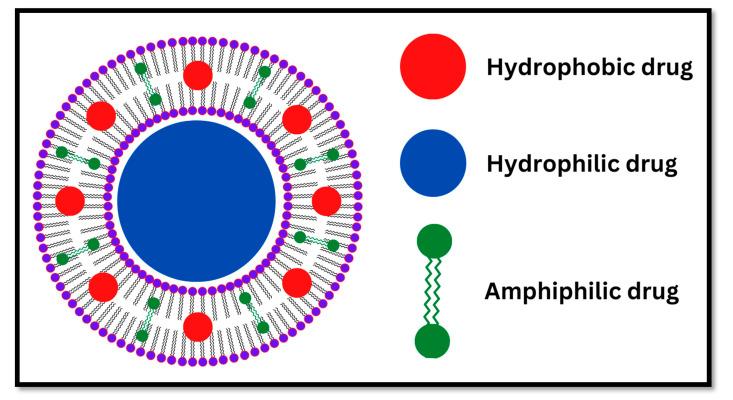 https://cdn.ncbi.nlm.nih.gov/pmc/blobs/31e6/11768252/e911b73a201f/pharmaceutics-17-00067-g001.jpg