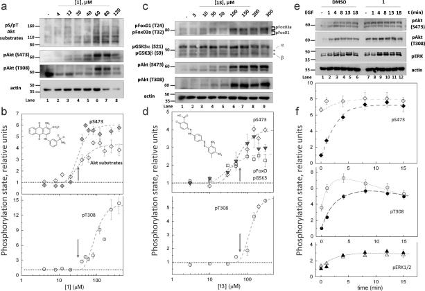 https://cdn.ncbi.nlm.nih.gov/pmc/blobs/31e9/2951065/acf8d6fcdbd0/jm-2010-00331d_0002.jpg